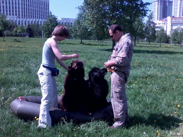 Фотография № 96192