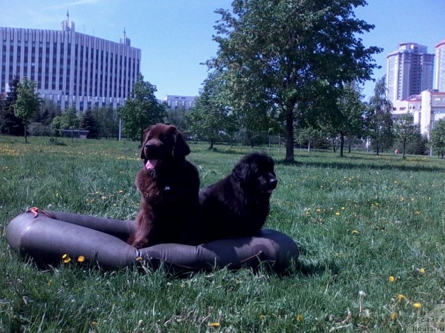 Фотография № 96193