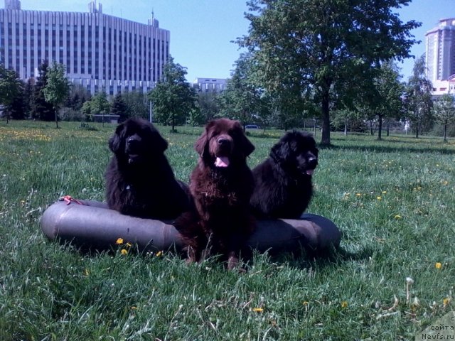 Фотография № 96194