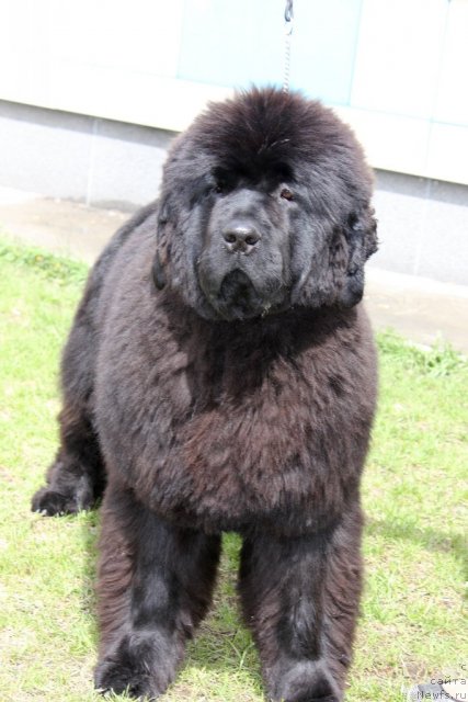 Фотография № 96210