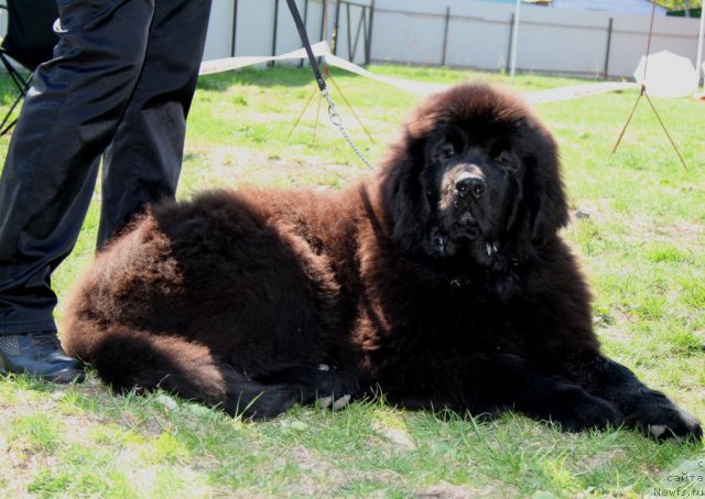 Фото: Акватория Келвин Успех