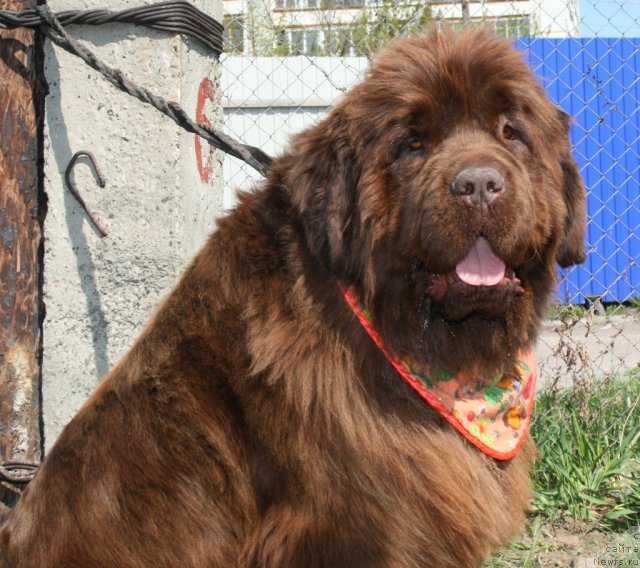 Фотография № 96236