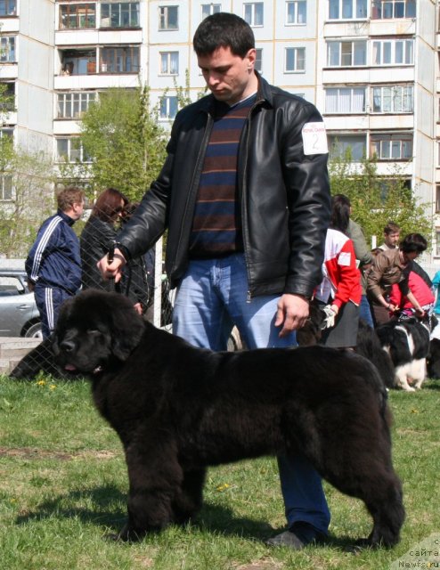 Фотография № 96243