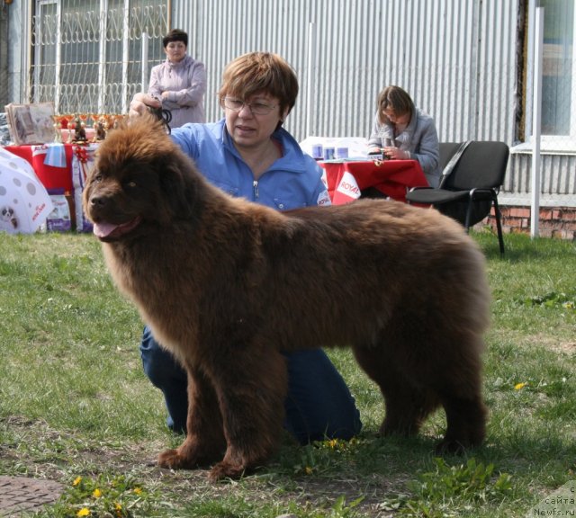 Фотография № 96246