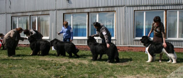Фото: [d11088][d10830] Лорд Лекс из Царства Медведей [d1099]