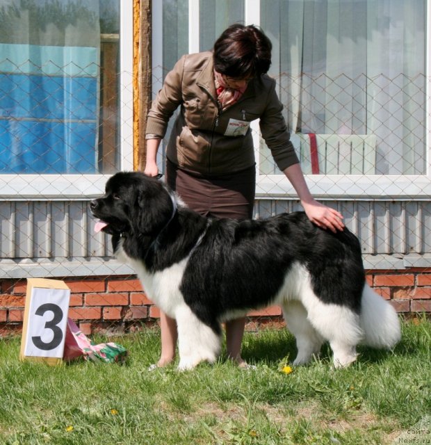 Фотография № 96270