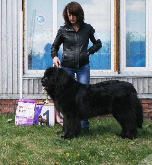 Фотография № 96272