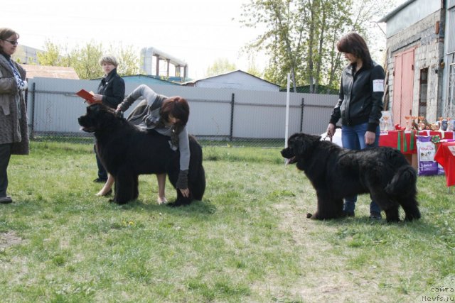 Фотография № 96276