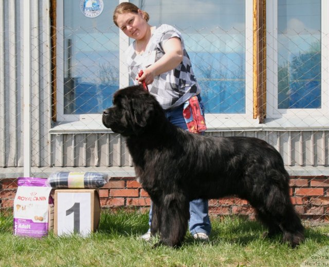 Фотография № 96279