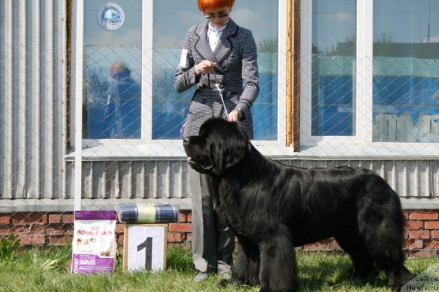 Фотография № 96281