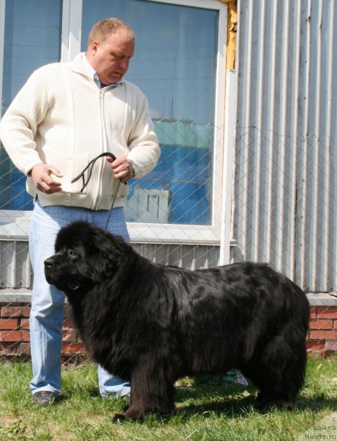 Фотография № 96286