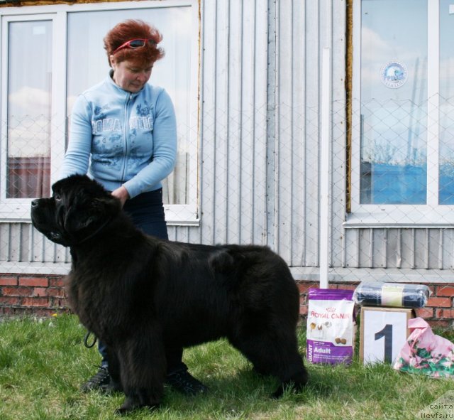 Фотография № 96288