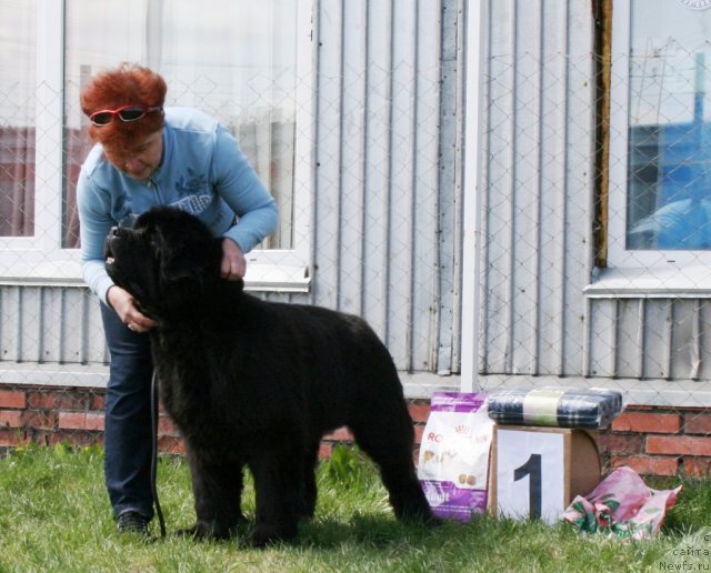 Фотография № 96289