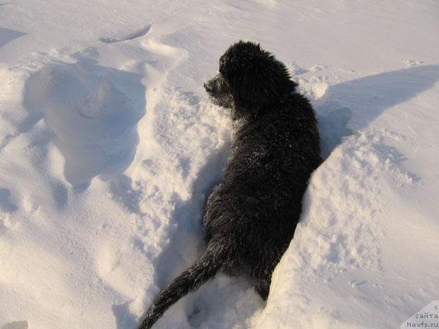 Фотография № 9629