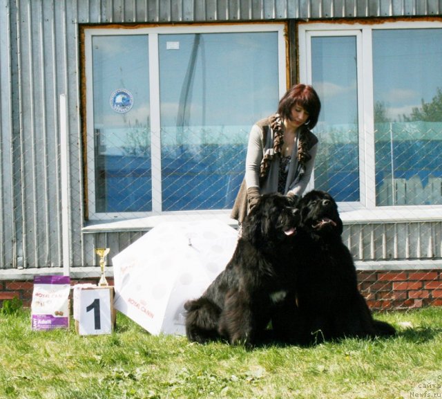 Фотография № 96296