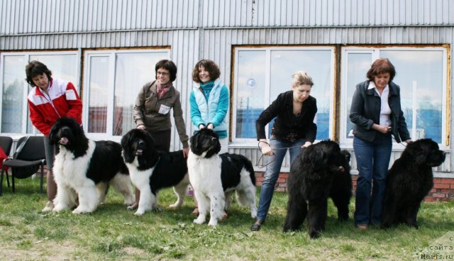 Фотография № 96297