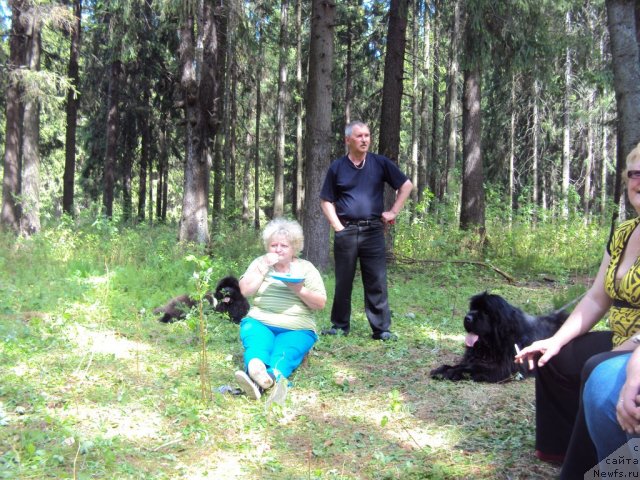 Фотография № 96303