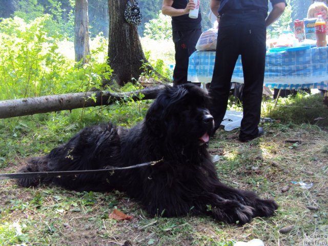 Фотография № 96305