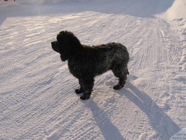 Фотография № 9631