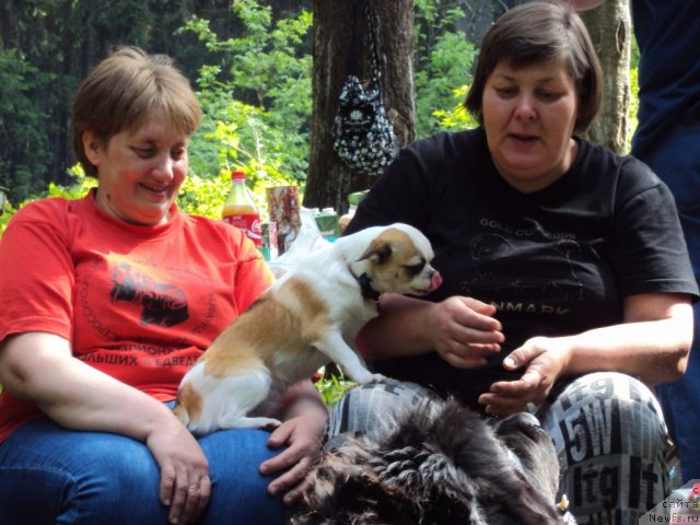 Фотография № 96310