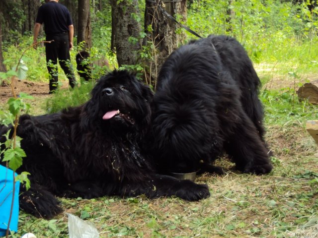 Фотография № 96312