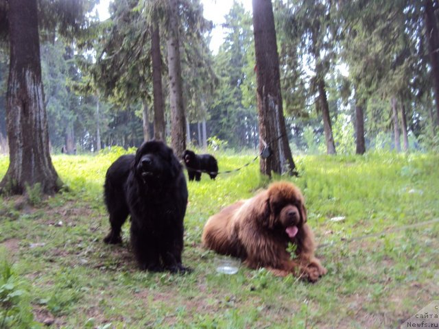 Фотография № 96318