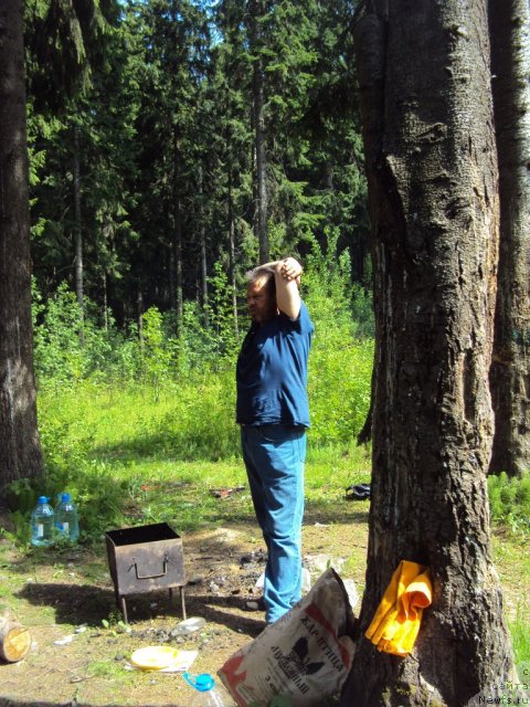 Фотография № 96321