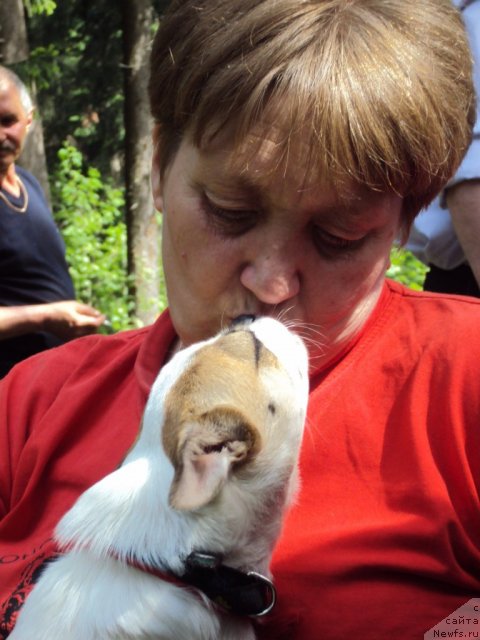 Фотография № 96323