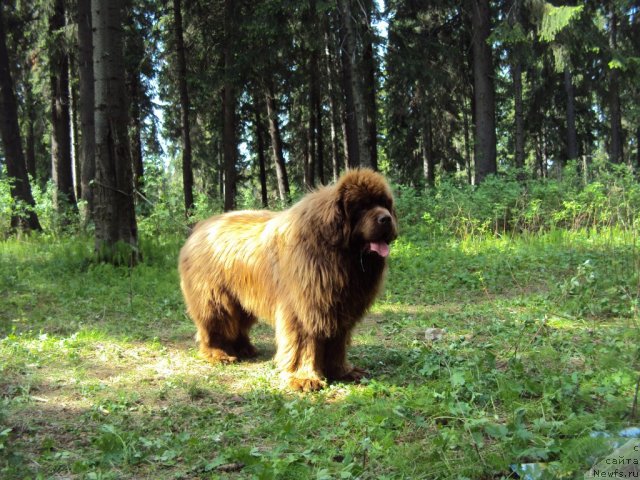 Фотография № 96326