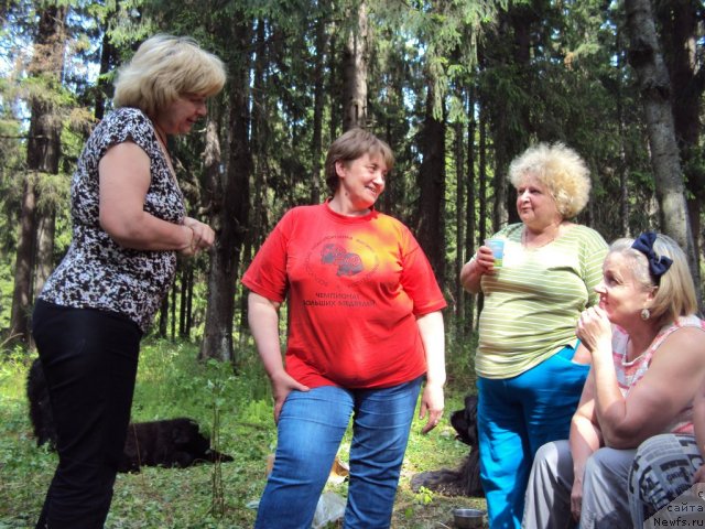 Фотография № 96328