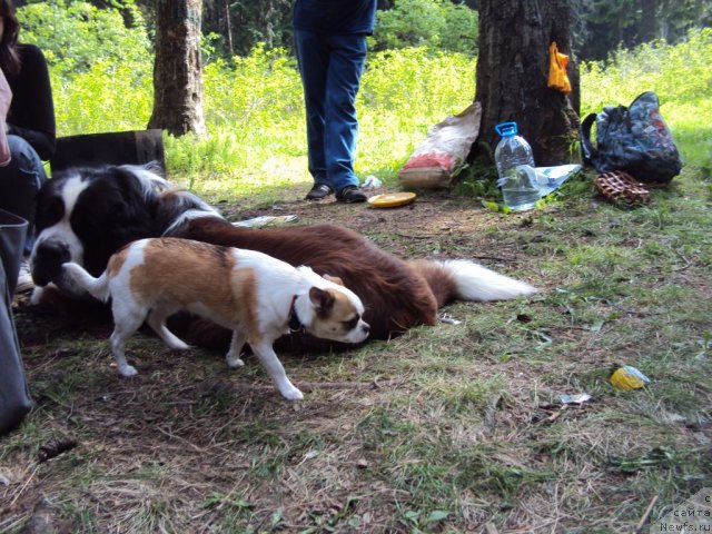 Фотография № 96330