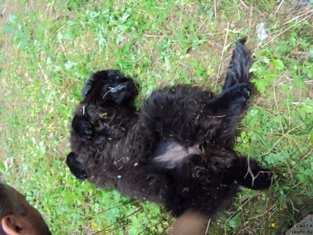 Фотография № 96331