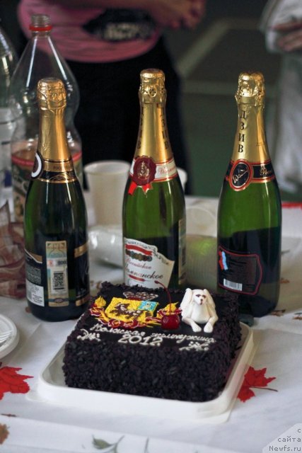 Фотография № 96333