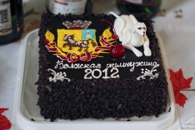 Фотография № 96335