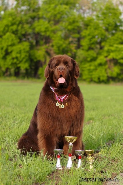 Фотография № 96349