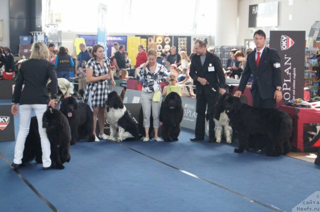 Фотография № 96391