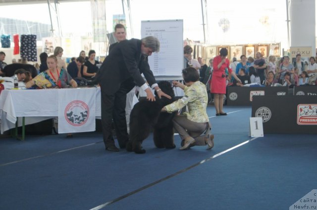 Фотография № 96392