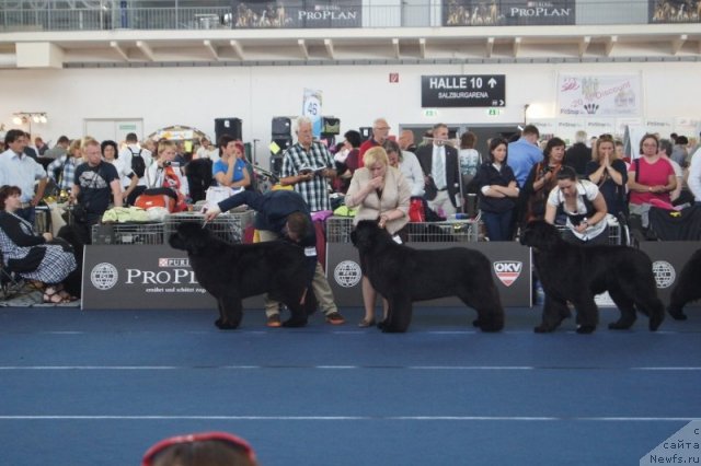 Фото: Абутова Татьяна и АК Оушен дрим