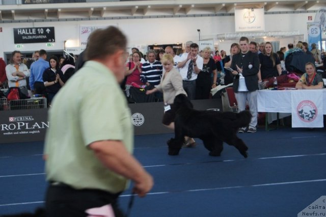 Фотография № 96403