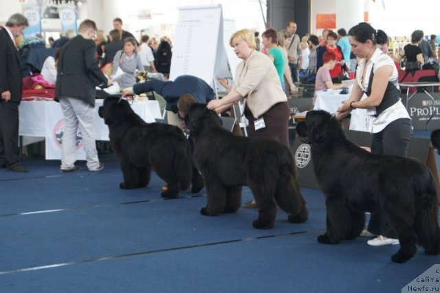 Фотография № 96404