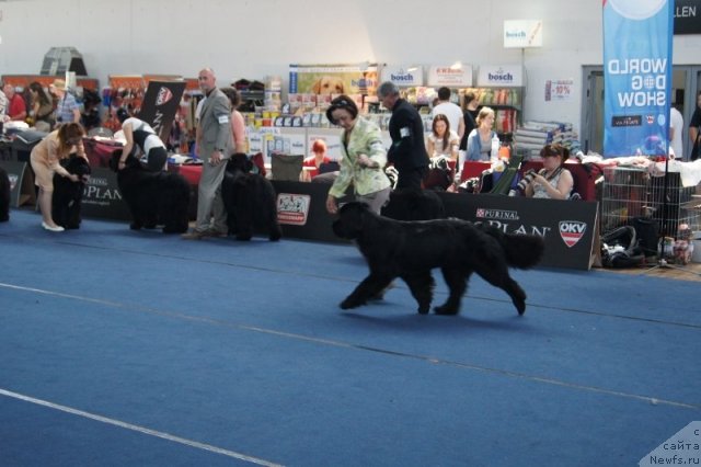 Фотография № 96411