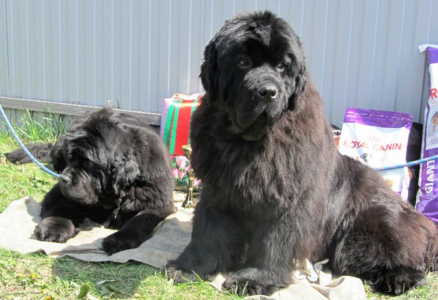 Фотография № 96418