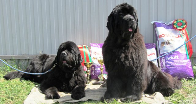 Фотография № 96419