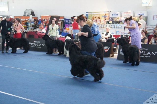 Фотография № 96424