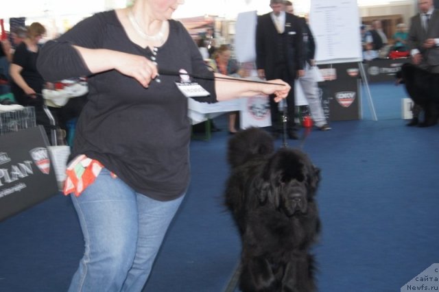 Фотография № 96425