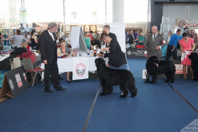 Фотография № 96426