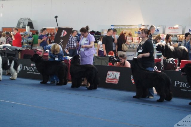 Фотография № 96428