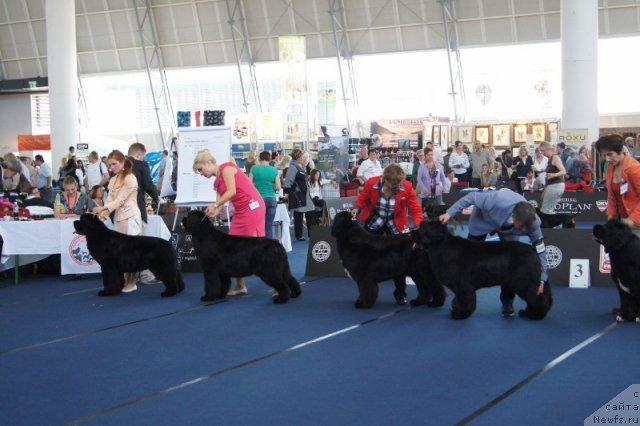 Фотография № 96432