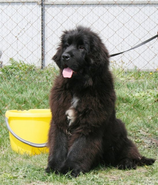 Фотография № 96468