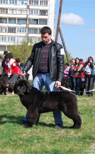 Фотография № 96472